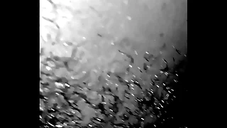 Licking  pussy while her man within reach front